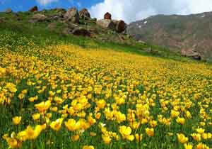 مناظری جادویی از طبیعت زیبا و رویایی قله ارگنه + فیلم