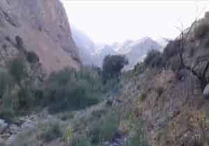 طبیعت بکر و زیبای پیش‌قلعه در قاب دوربین + فیلم
