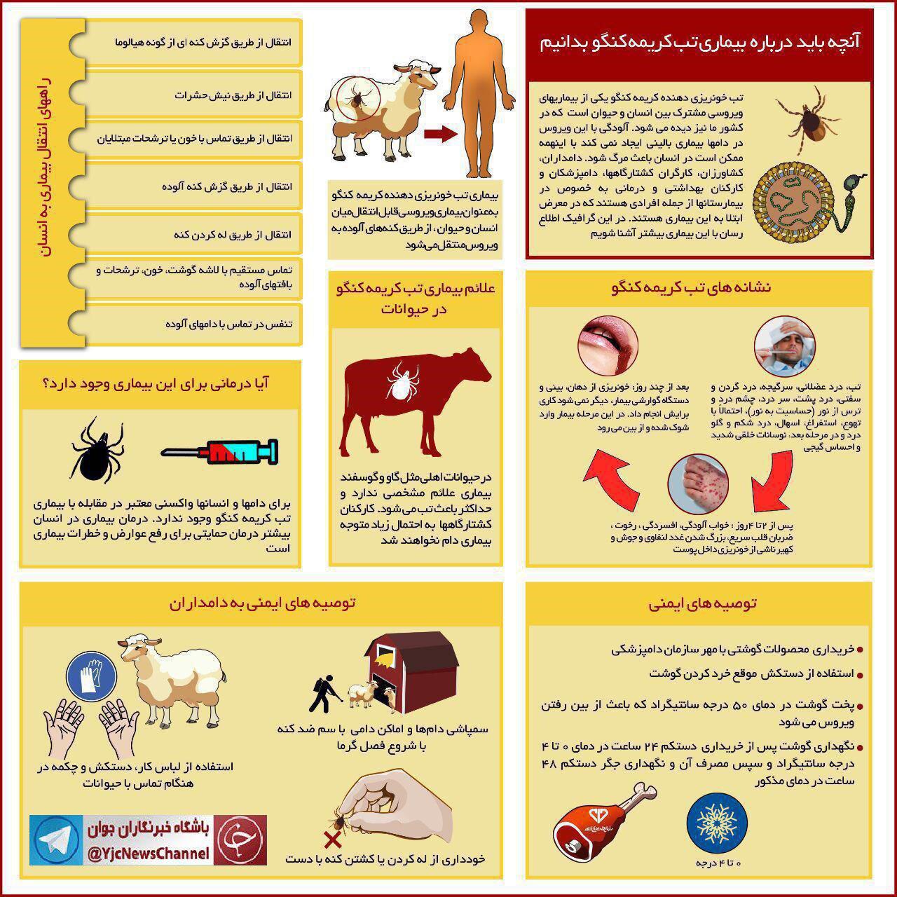 علائم بیماری تب کریمه کنگو را سرسری نگیرید/ اینفوگرافیک