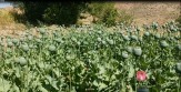 انفجار و آتش سوزی مهیب در هاپیر مارکت شیراز + تصاویر/حماسه عظیم/ورود ایران به باشگاه هشت هزار متری های جهان/ کشف شکلات با طعم مشروب در فرودگاه مشهد
