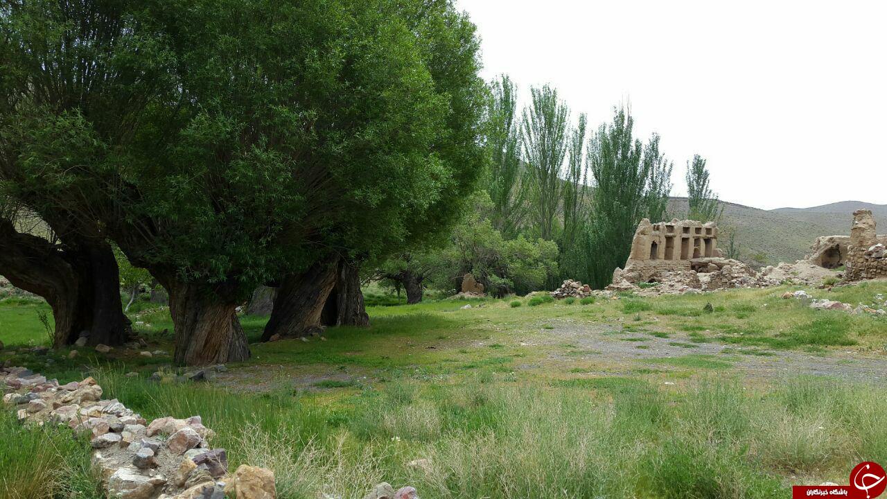 طبیعت زیبا و سرسبز &laquo;سُه&raquo; + تصاویر