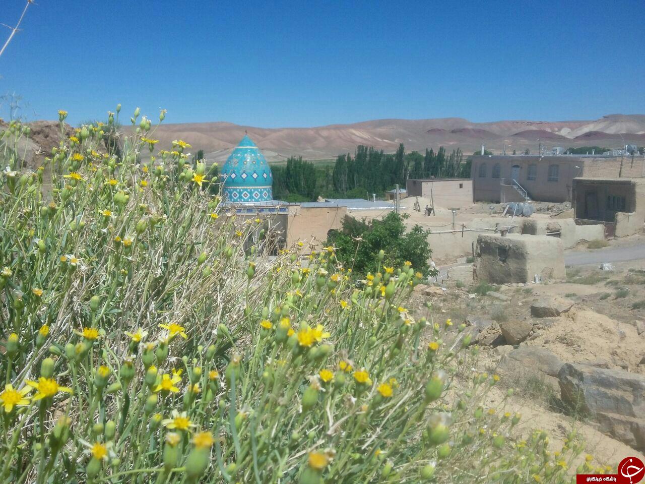 طبیعت زیبا و سرسبز &laquo;سُه&raquo; + تصاویر