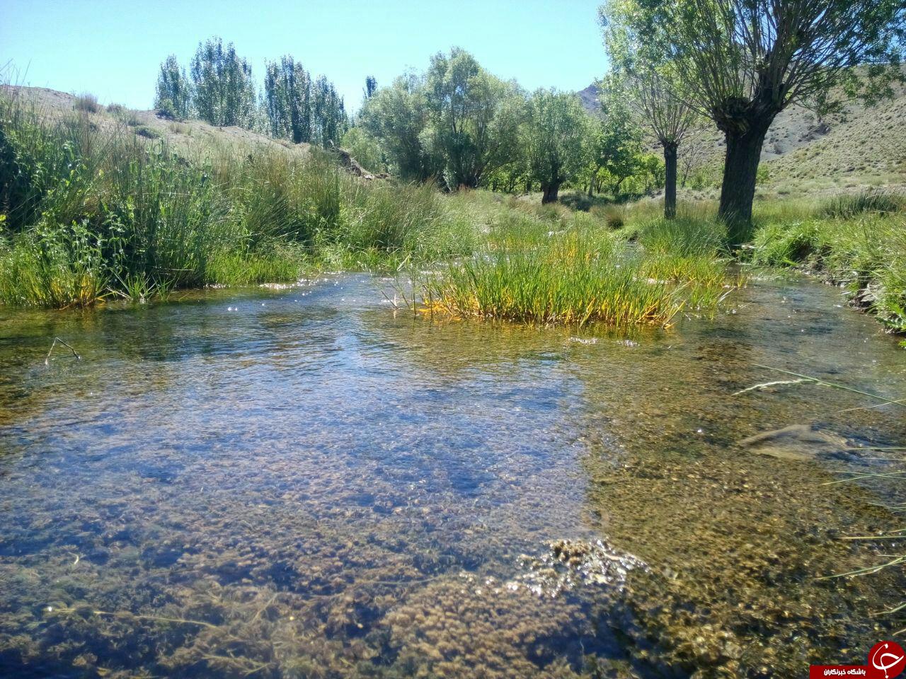 طبیعت زیبا و سرسبز &laquo;سُه&raquo; + تصاویر