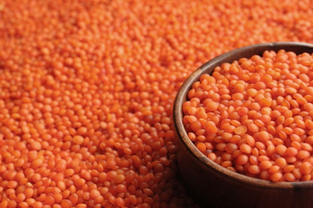 نرخ مصوب حبوبات غیر شرکتی در میادین میوه و تره بار