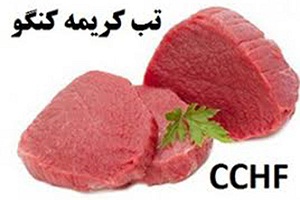 تلاش برای پیشگیری از تب کریمه کنگو در آشتیان