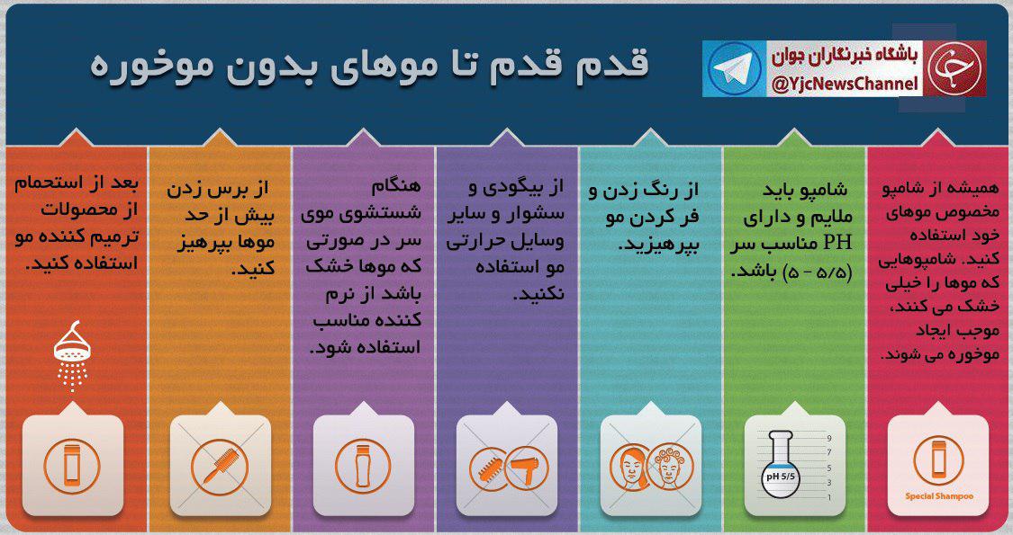 موخوره را با اصلاح نحوه شانه زدن از بین ببرید/ اینفوگرافیک