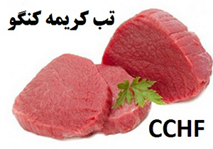 موردی از ابتلا به تب کریمه کنگو در فارس مشاهده نشده است
