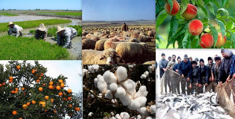 تأملی بر نقش تسهیلات بانکی در اشتغالزایی روستاييان/ چگونه شركت&zwnj;های خصوصی را به روستاها بكشانيم؟