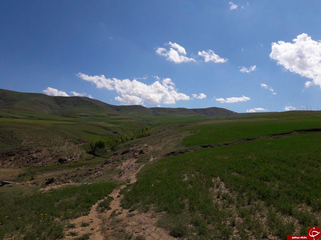 طبیعت بهاری سلماس در قاب تصویر