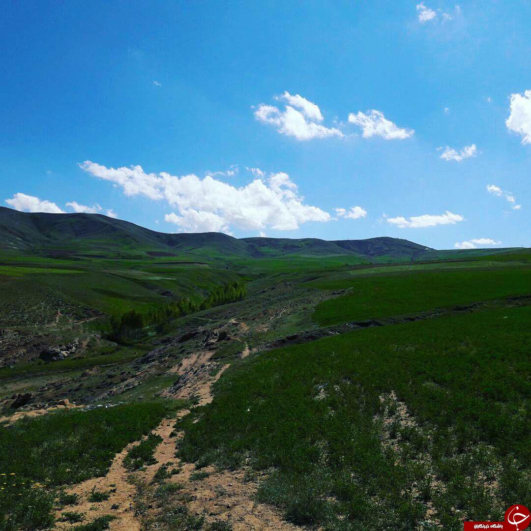 طبیعت بهاری سلماس در قاب تصویر