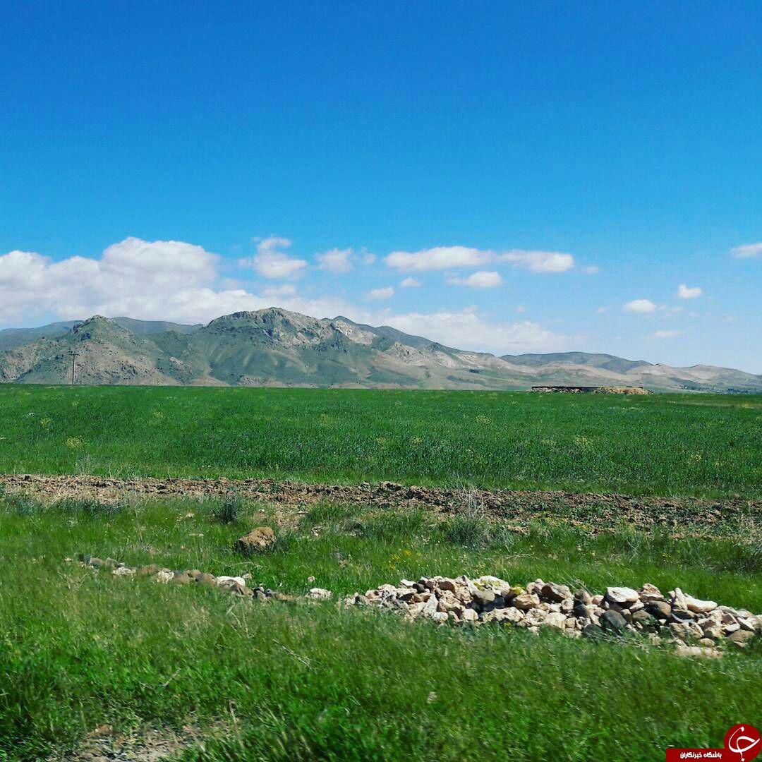 طبیعت بهاری سلماس در قاب تصویر