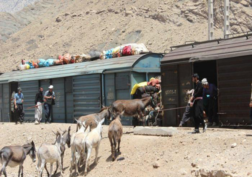 کوچ بهاره عشایر شرق لرستان به سمت مناطق ییلاقی لرستان