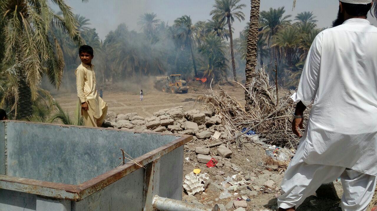 ۲ هزار اصله نخل خرما طعمه حریق شد+تصاویر