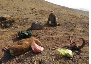 دستگیری سه شکارچی غیرمجاز