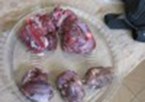 کشف گوشت شکار غیرمجاز در نی ریز