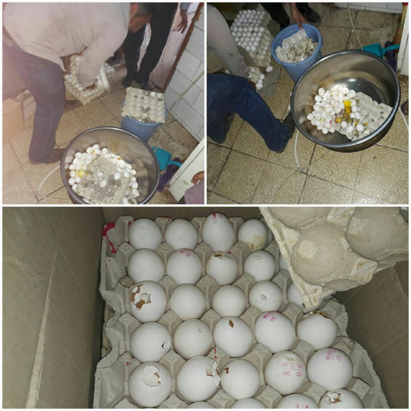 کشف بیش از هزار کیلوگرم موادغذایی فاسد در کاشمر