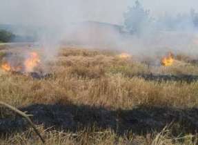 خطر آتش زدن علوفه به جا مانده از کشت