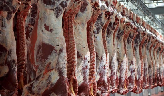 شیوع تب کریمه کنگو و گرانی گوشت؛ شایعه تا واقعیت