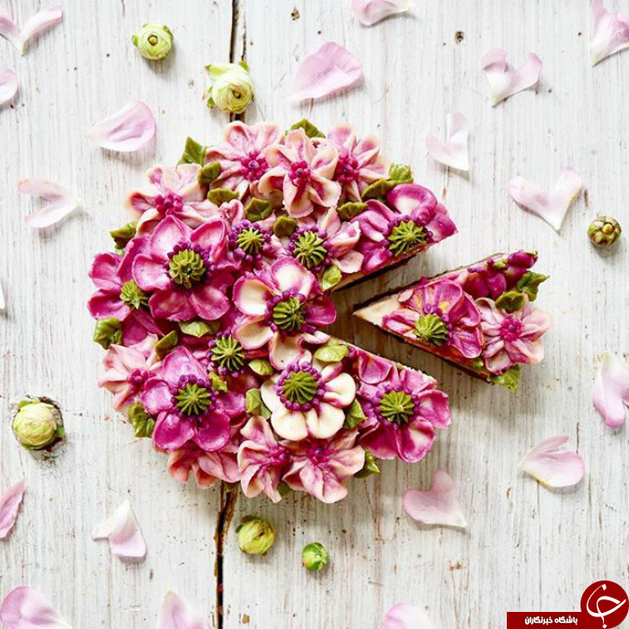 زیباترین کیک هایی که تا به حال دیده اید