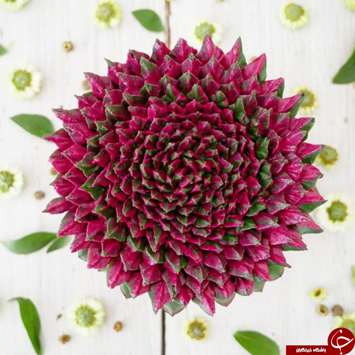زیباترین کیک هایی که تا به حال دیده اید