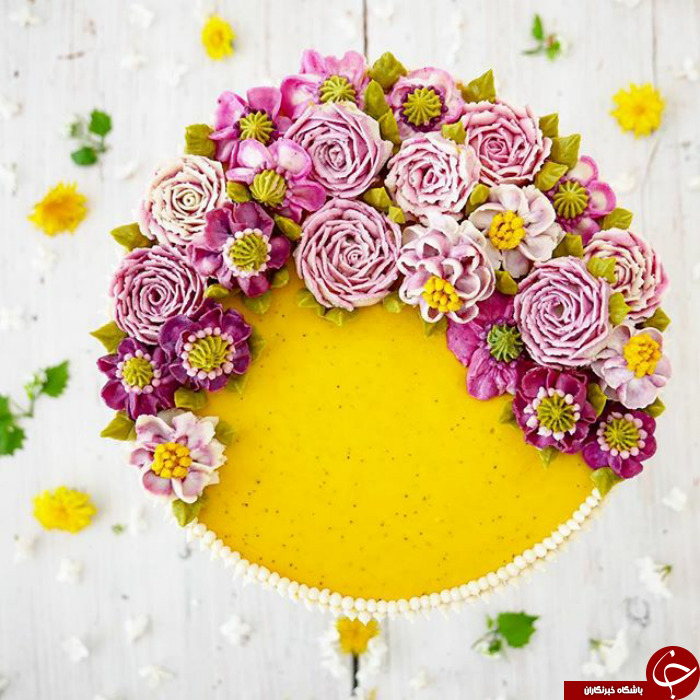 زیباترین کیک هایی که تا به حال دیده اید