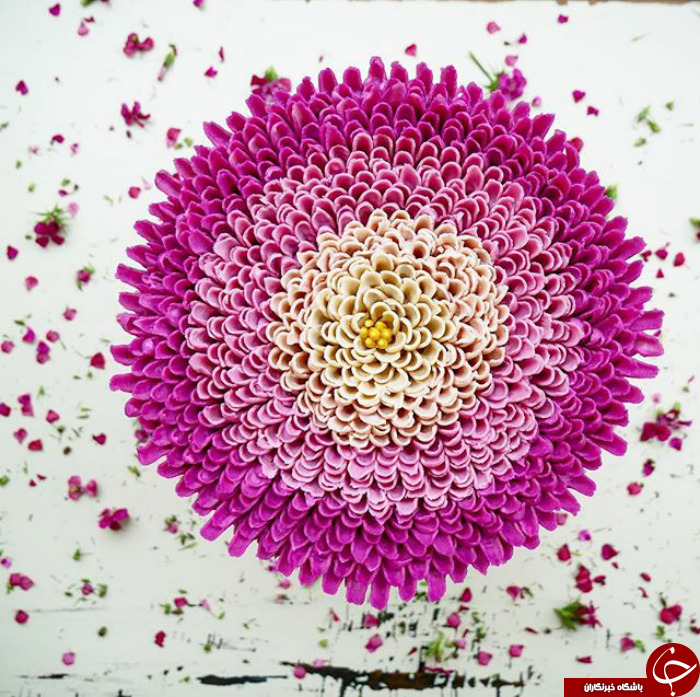 زیباترین کیک هایی که تا به حال دیده اید