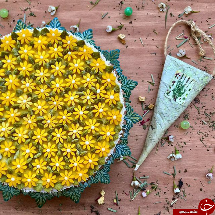 زیباترین کیک هایی که تا به حال دیده اید