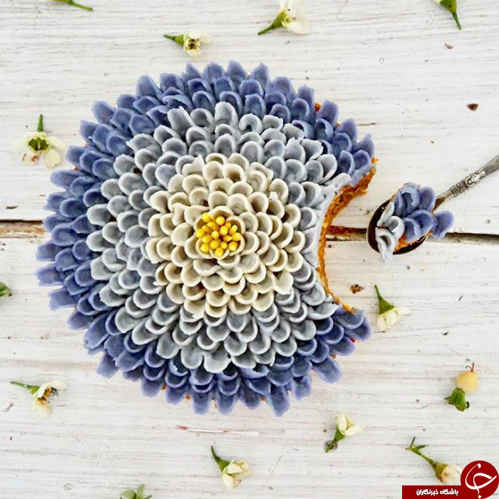 زیباترین کیک هایی که تا به حال دیده اید