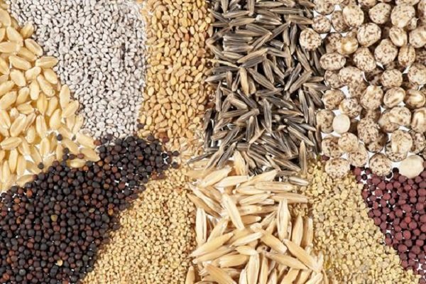 فهرست اقلام گیاهی مجاز وارداتی اعلام شد