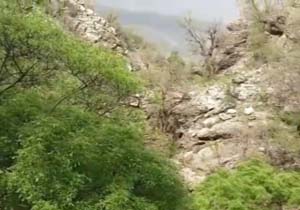 طبیعت بکر و رویایی در سرکانه‌گریت + فیلم