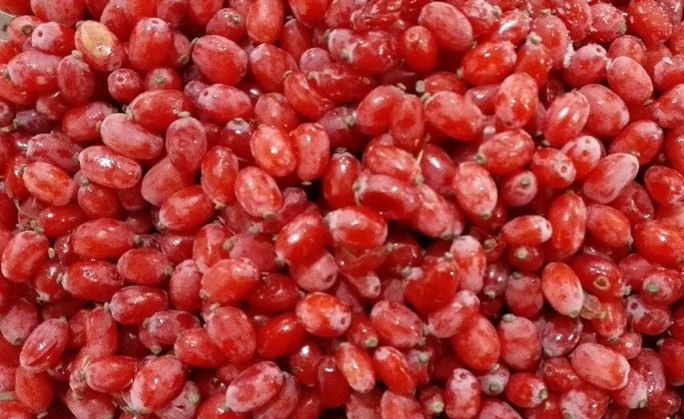 2 شب اقامت در یکی از هتل های مشهد چقدر آب می خورد؟ / قیمت محصولات Mazda در دبی / نوسانات بازار طلا و سکه