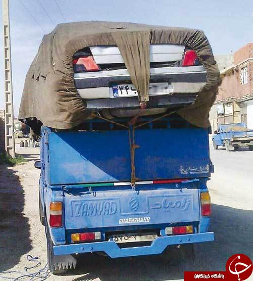 نیسان گردن&zwnj;کلفت +عکس