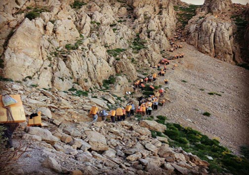 کوله سنگین فقر بر دوش کولبران