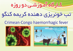 دوره آموزشی آشنایی با تب کِریمه کنگو در بن