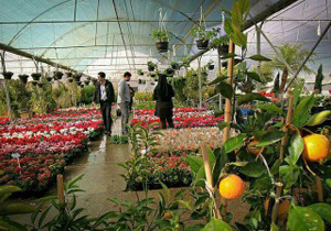 برگزاری جشنواره بهاره گل‌ و گیاه در اصفهان