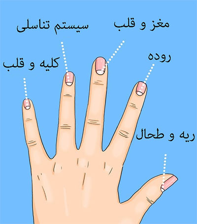 هلال سفید روی ناخن ها نشانه&zwnj;ی چیست؟