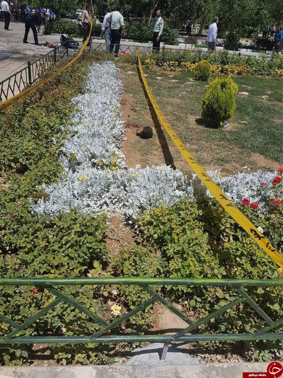 سر بریده&zwnj;شده