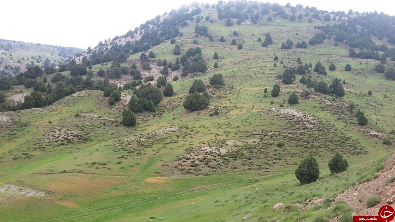 نمایی از طبیعت بکر کوه&zwnj;های هزار در مشهد + تصاویر