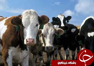 نگاهی گذرا به مهمترین رویدادهای 17 خرداد در مازندران