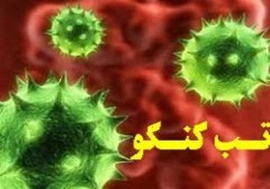 خبری از تب کریمه کنگو در استان نیست