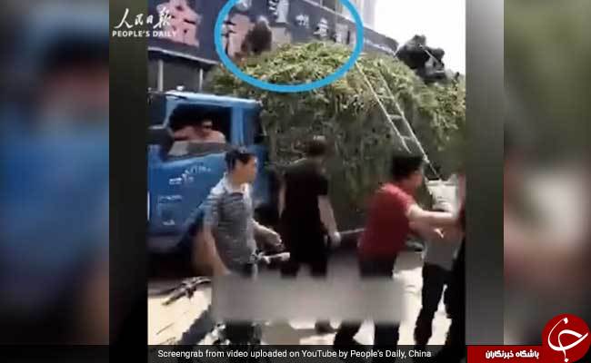 راننده کامیون حامل علوفه، ناجی جان 20 نفر شد! + تصاویر