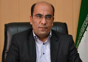 سهم بخش صنعت در توسعه اقتصادی شهرستان سلسله پایین است