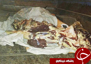 معدوم سازی 150 کیلوگرم گوشت غیر قابل مصرف