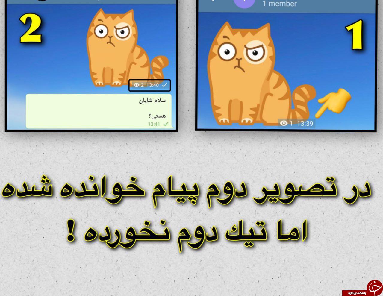 یک ترفند طلایی برای مچ گیری در تلگرام