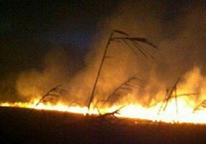 آتش سوزی در زمین‌های کشاورزی روستای شنه محرزی  خرمشهر