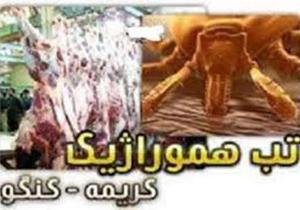تب کریمه کنگو یک بیماری بومی کشور محسوب می‌شود و جدید نیست