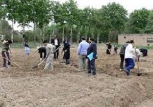 هنرستان کشاورزی بانه هنرجو می‌پذیرد