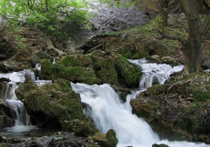 پیش بینی آسمان صاف تا قسمتی ابری و وزش باد