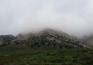 قطع بی رحمانه درختان جنگل چمستان/جاده&zwnj;ای که روی اعصاب رانندگان است/چشم انتظاری برای تکمیل ساخت مسکن مهر + فیلم و تصاویر