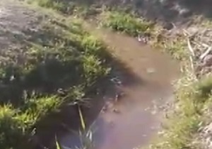 قطع بی رحمانه درختان جنگل چمستان/جاده&zwnj;ای که روی اعصاب رانندگان است/چشم انتظاری برای تکمیل ساخت مسکن مهر + فیلم و تصاویر
